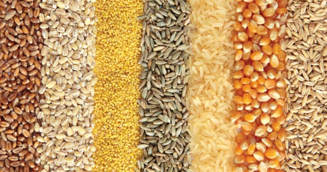 USDA Predicts Decline in Grain Production Gains of GOG’s PFJ Program. 1 USDA Predicts Decline in Grain Production Gains of GOG’s PFJ Program.