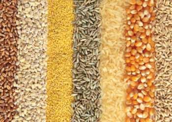 USDA Predicts Decline in Grain Production Gains of GOG’s PFJ Program.