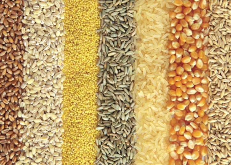 USDA Predicts Decline in Grain Production Gains of GOG’s PFJ Program. 1 Grains
