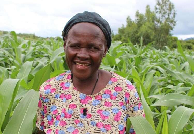 The Rains Have Started On a Good Note- Ghanaian Farmers Jubilate 1 The Rains Has Started On a Good Note