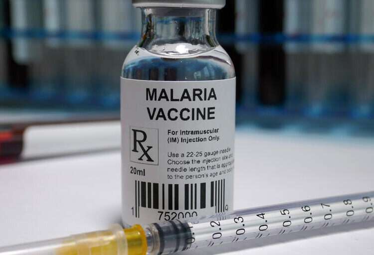 The Ghana Association of Medical Laboratory Scientists (GAMLS) has called on government to ensure that malaria vaccines are available to Ghanaians.