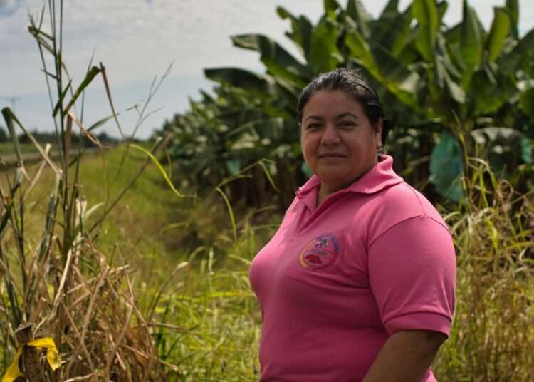 Mind The Gap: Oxfam's Fourth Supermarket Scorecard Elucidated 1 Labour Union Advisor- Mirley Zambrano-Ecuador
