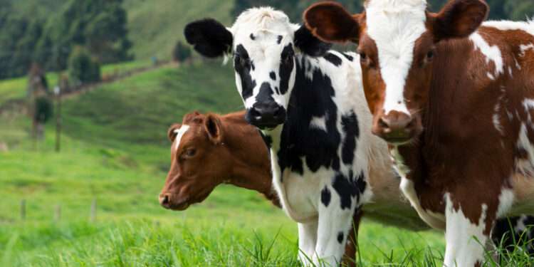 Climate Change to Be the Next Pandemic 1 Politics of Protein Featured