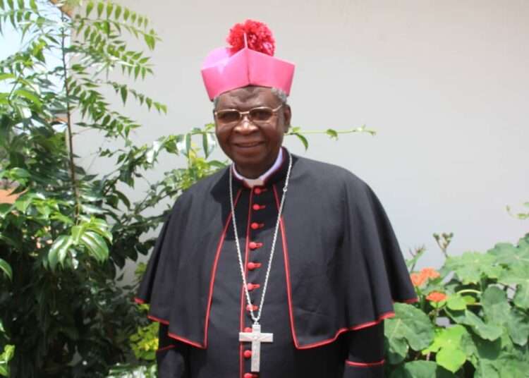 President of the Ghana Catholic Bishops Conference, Most Rev. Philip Naameh has called on Christians to embrace politics and work for the common good of people in the country.