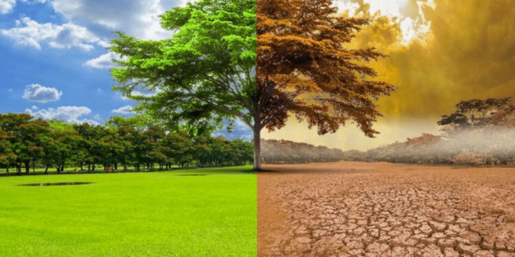 First IPCC Report On Human-Induced Actions to Mitigate Climate Change Released 1 Screen Shot 2019 08 30 at 2.15.24 PM