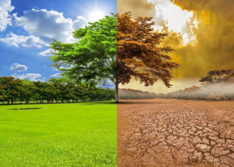 First IPCC Report On Human-Induced Actions to Mitigate Climate Change Released 1 Screen Shot 2019 08 30 at 2.15.24 PM