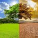 First IPCC Report On Human-Induced Actions to Mitigate Climate Change Released 13 Screen Shot 2019 08 30 at 2.15.24 PM