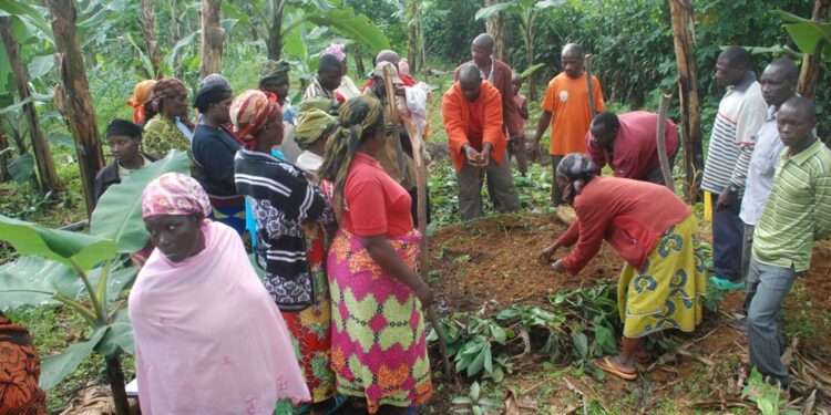 Women learning compost making