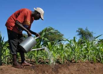 The Director-General of FAO, Qu Dongyu, has reassured that the world can still contain the impact on global food security with the right policies amidst the Russia-Ukraine crisis.