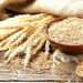 FAO Food Price Index Posts Significant Leap In March