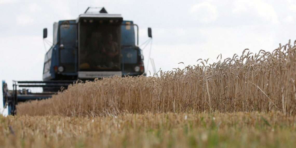 A combine harvesters  in a field