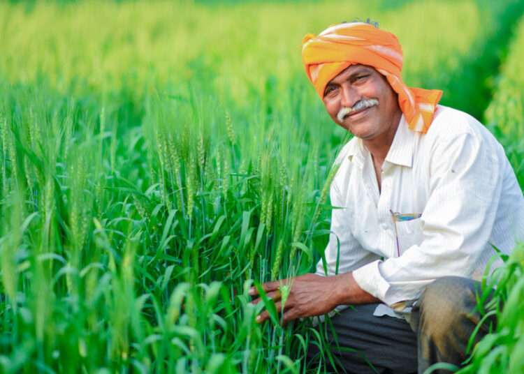 Happy Farmer