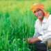 Agri Exports Shoot by 20% to $50 Billion in FY22 11 Happy Farmer