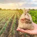 USDA Invests $800 Million to Combat Climate Change Across Rural America 12 USDA supports rural America