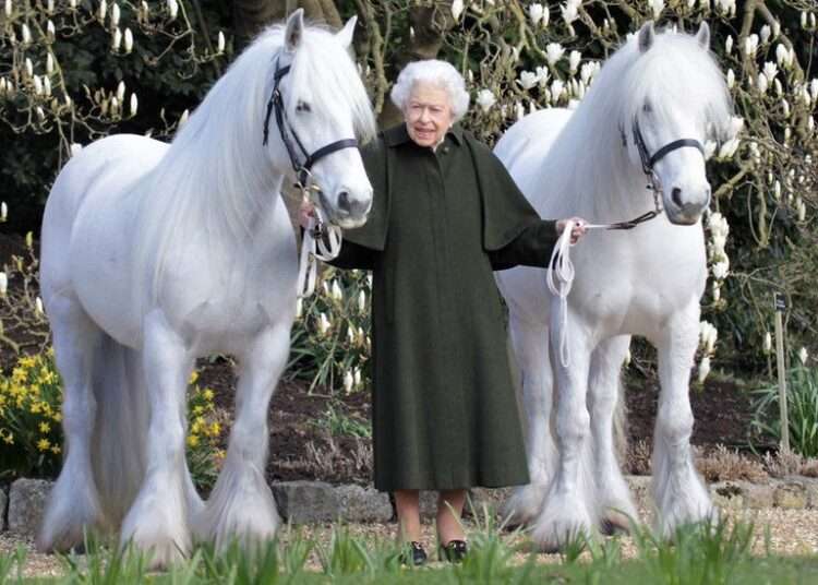 Queen Elizabeth Celebrates 96th Birthday in Sandringham 1 The Queen standing between two Royal Windsor Horses