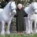 The Queen standing between two Royal Windsor Horses