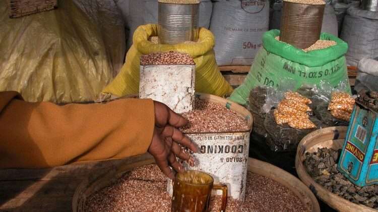 'AGRA Botched to Meet Its Headline Goal' To Reduce Hunger- Report Shows 1 AGRA did not meet its headline goal of increasing incomes and food security for 9 million smallholders