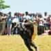 Paragliding Festival, a Ghanaian Tandem pilot, Mr. Jonathan Quaye, will be among the 12 pilots to fly passengers.