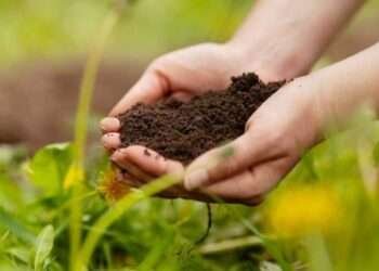 Europe and US Behind Bulk of Global Ecological Damage, Study Reveals 3 Agroecological damage