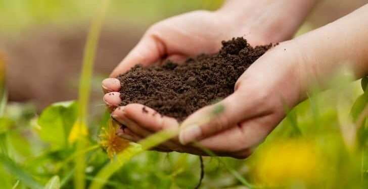 Europe and US Behind Bulk of Global Ecological Damage, Study Reveals 1 Agroecological damage