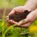 Agroecological damage