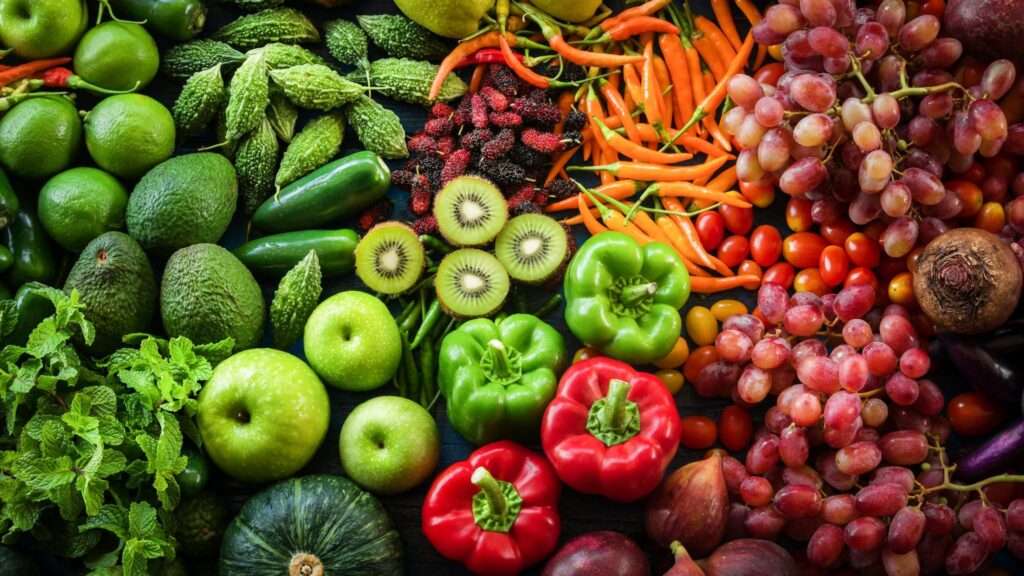 FAO Renews Its Appeal to Support Vulnerable Rural Households And Boost Food Production 2 vegetables