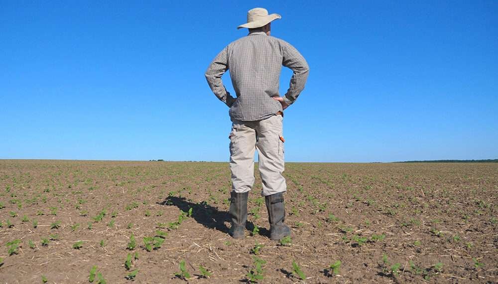Ghana’s Agricultural Subsidy Program to Improve Food Security? 1 A farmer on his farm