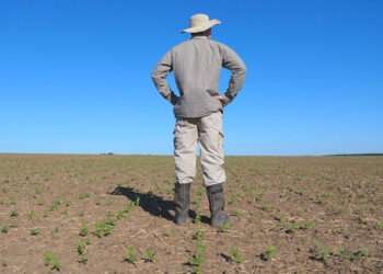 A farmer on his farm
