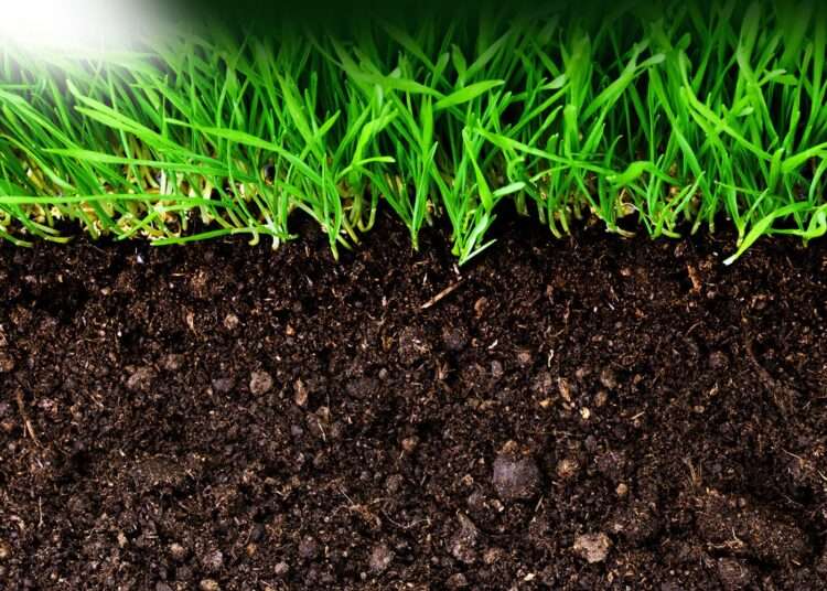 Soil
