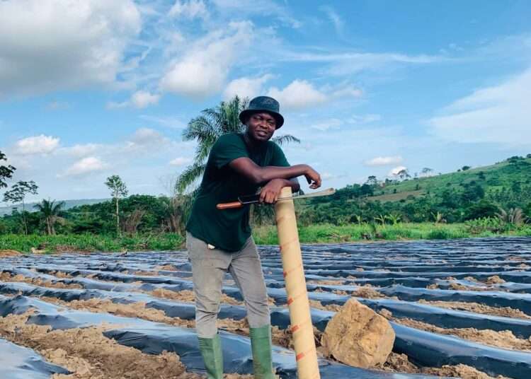 Greenworld Flourishers Launch ‘Uber Drivers of Pineapple Project’, Calls on Investors to Support 1 Co-Founder of Greenworld Flourishers on the field
