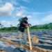 Co-Founder of Greenworld Flourishers on the field