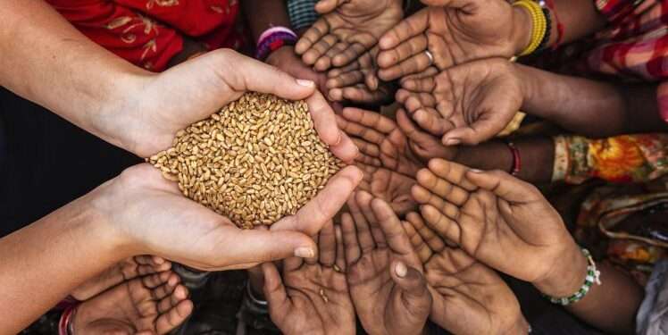 Russia-Ukraine war, Africa Won't benefit from sitting on the fence 1 Food insecurity