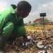 AfDB launches €4 Million Africa Circular Economy Facility 11 Circular economy