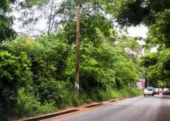 We Have Suffered Grave Historical Injustice- Owoo Family On Achimota Forest Reserve 2 Civil Society Organisation, OccupyGhana, has called for an investigation pertaining to the matters regarding the declassification of the Achimota forest reserves.