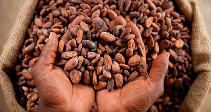 Shortfall In Cocoa Production In Ghana To Drive World Deficit To Approximately 181,000 Tonnes