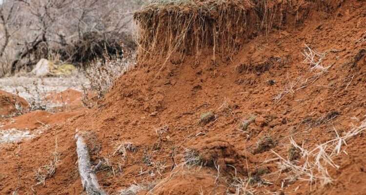 Stop Drivers of Land Degradation, Increase Sustainable Land Management Practices - AfDB 1 Land degradation