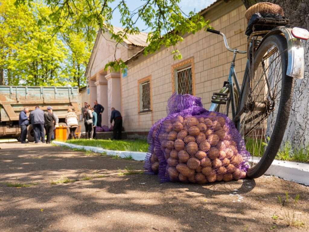 FAO Oleksandr Mliekov Seed potato distribution in Dnipropetrovska oblast Ukraine.