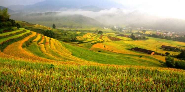 FAO Designates three sites in China as Globally Important Agricultural Heritage Systems 1 A Grassland nomadic system