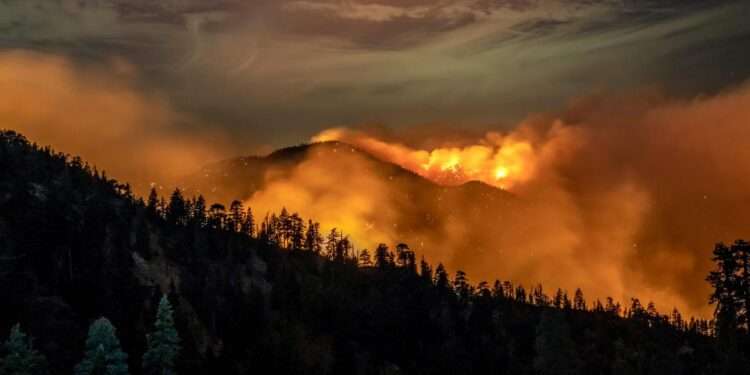 Climate on fire