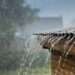 Slight Rains Expected In Coastal Areas Today – GMA