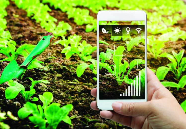 Develop cost-effective climate-smart technologies for farmers- AICCRA to Scientist 1 Climate smart agriculture