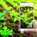 Climate smart agriculture