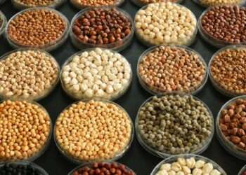 Agrifood systems