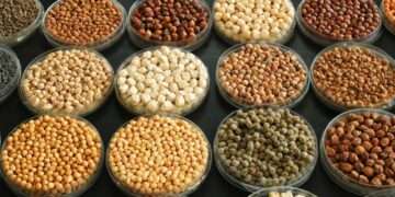 Agrifood systems