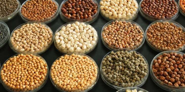 Agrifood systems