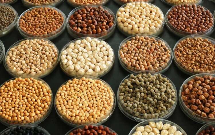 FAO Accelerates Efforts to Transform Agrifood Systems Amid War in Ukraine 1 Agrifood systems