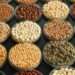 FAO Accelerates Efforts to Transform Agrifood Systems Amid War in Ukraine 13 Agrifood systems