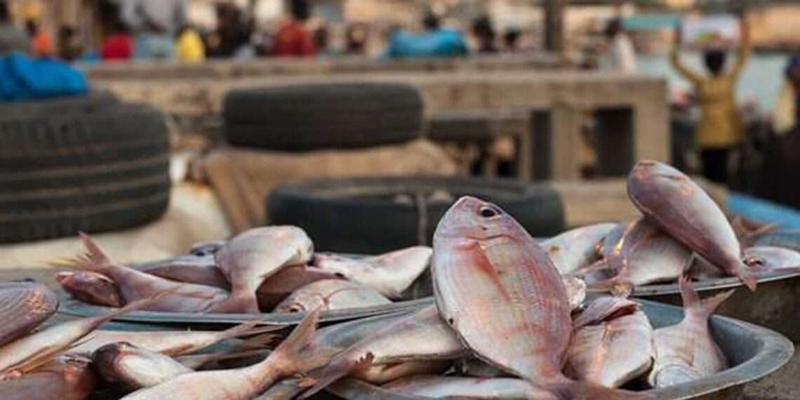 Demand for Seafood and Fish Products in Ghana to Upsurge- USDA 1 Varieties of fish