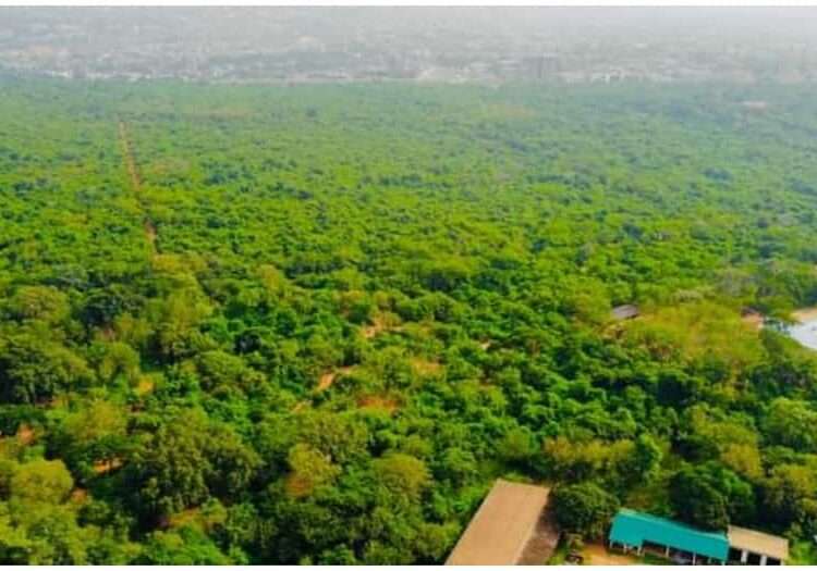 Hold On To Rest Of Land For Relevant National Purposes- Occupy Ghana On Achimota Forest Saga 1 Aerial view of Achimota forest