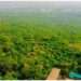Aerial view of Achimota forest